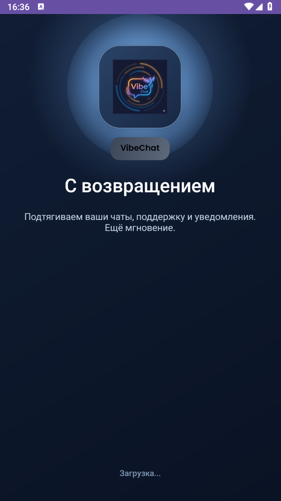 Splash экран VibeChat